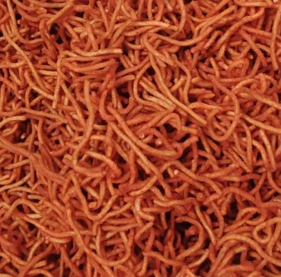 Mie Rapuh 80gr - CAP IKAN -